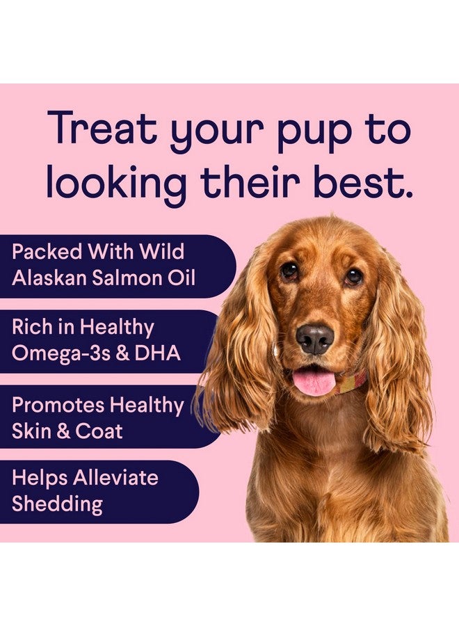 فين مكمل زيت السلمون للبشرة والفراء للكلاب | يدعم فراءً سميكًا ولامعًا | زيت السمك من سمك السلمون البري في ألاسكا، وأوميجا 3، وإي بي إيه ودها، والبيوتين، والزنك | 90 مضغة ناعمة - Image 2
