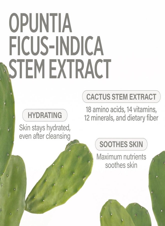 keyth رذاذ ماء كيث واحة (50 مل، 1.69 أونصة سائلة) / ترطيب، ترطيب البشرة، تهدئة، تقوية حاجز البشرة، مستخلص ساق الصبار، 14 فيتامينات - Image 5