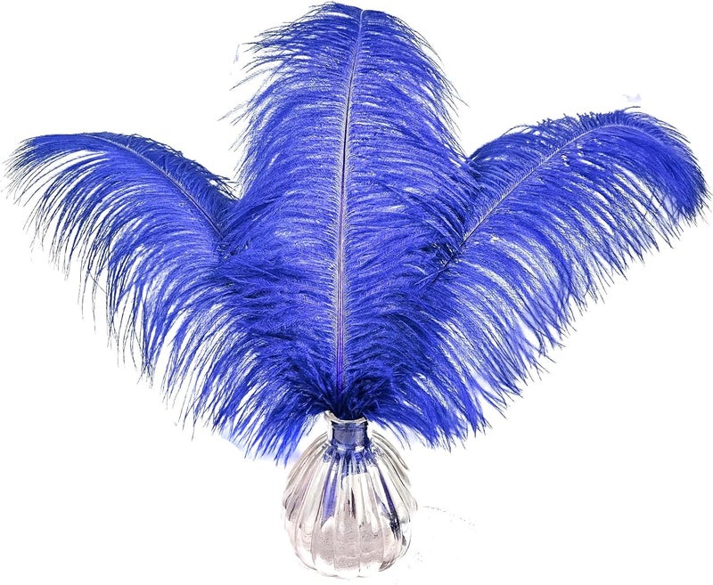 HAPPY FEATHER 16-18 inch Royal Blue Ostrich Feathers Craft for Wedding Party Centerpieces Home Decoration DIY Craft Pack of 10 - Image 1