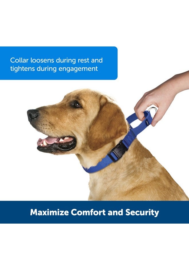 بيت سيف طوق مارتينجال للكلاب من بيت سيف مع مشبك سريع الإغلاق - متوسط، 3/4 بوصة، ملكي - Image 2