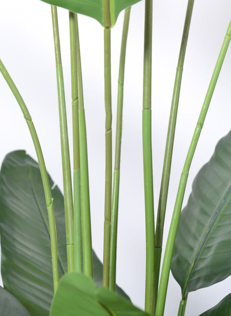 Sharpdo Home Artificial Green Plant Decoration for indoor/outdoor, Traveler Banana 180cm - Image 5