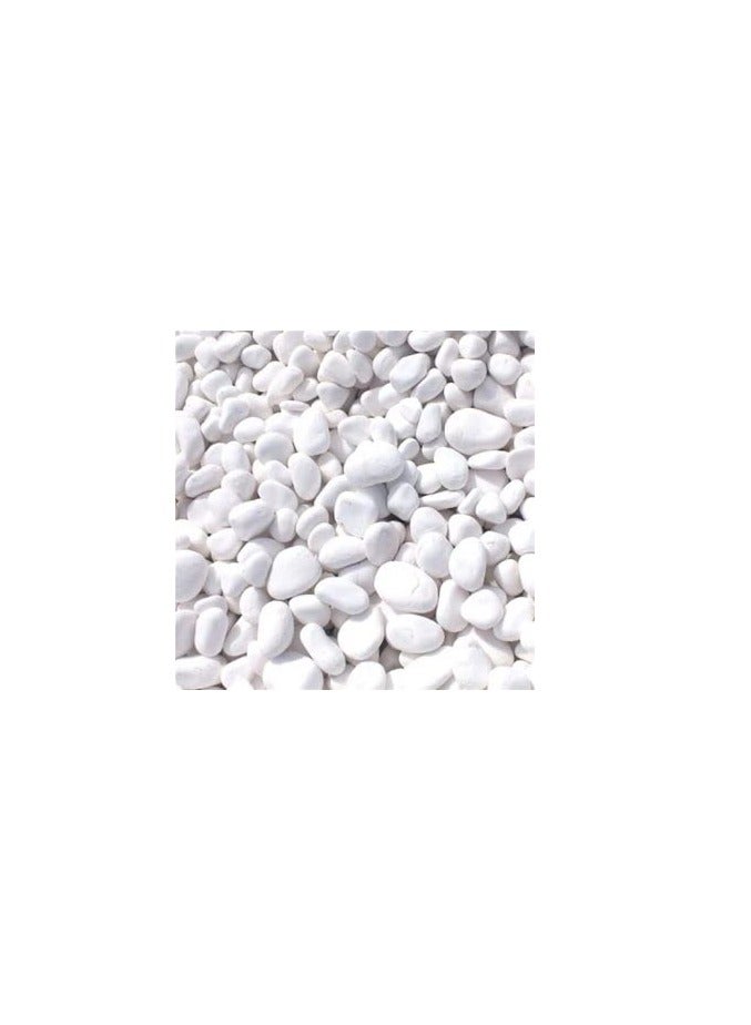 Generic White Polished 10-20 mm Pebbles Natural Decorative Smooth River Rocks, Gravel Size White Small Pebble Stone for Succulent, Bonsai, Potted Plants, Landscaping, Fairy Garden, Aquarium (10 kg) 