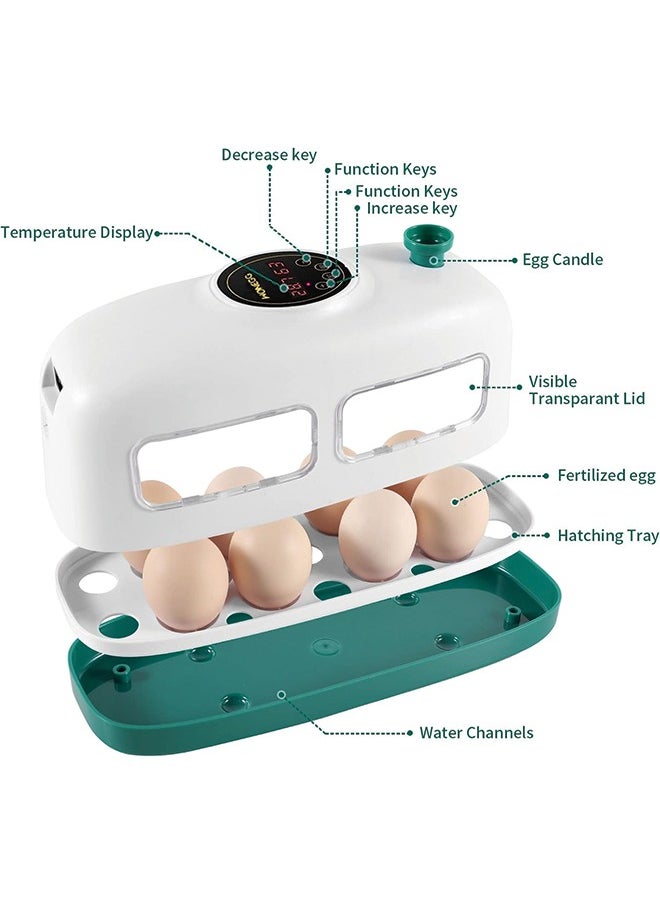 Generic - Egg Incubator, 8 Eggs Poultry Hatcher with Humidity Temperature Control, Led Candler and Display, Mini Chicken Incubator for Hatching Chicks, Quail Duck Goose Bird Turkey Eggs - Image 1