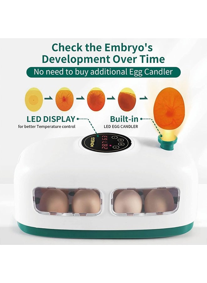 Generic - Egg Incubator, 8 Eggs Poultry Hatcher with Humidity Temperature Control, Led Candler and Display, Mini Chicken Incubator for Hatching Chicks, Quail Duck Goose Bird Turkey Eggs - Image 1