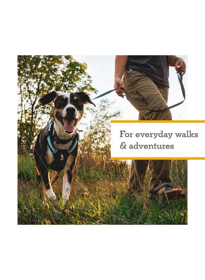 RUFFWEAR Ruffwear, Hi & Light, Everyday Lightweight Dog Harness, Trail Running, Walking, Hiking, All-Day Wear, Basalt Gray, X-Small  - Image 2