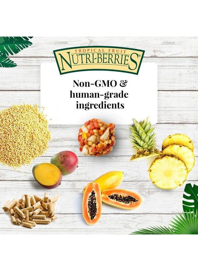 لافيبيرز طعام الطيور الأليفة LAFEBER'S Tropical Fruit Nutri-Berries، مصنوع من مكونات غير معدلة وراثيًا ومناسبة للبشر، للببغاوات، 3 رطل  - Image 4