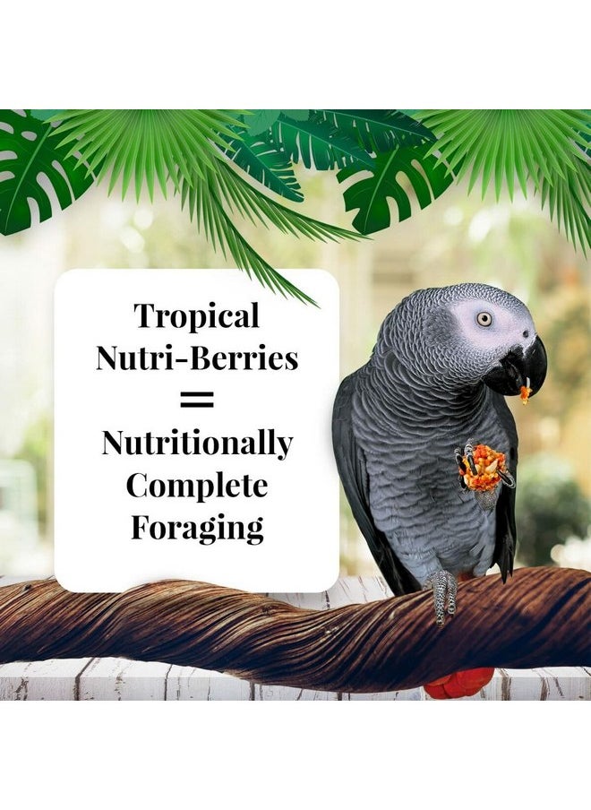 لافيبيرز طعام الطيور الأليفة LAFEBER'S Tropical Fruit Nutri-Berries، مصنوع من مكونات غير معدلة وراثيًا ومناسبة للبشر، للببغاوات، 3 رطل  - Image 2