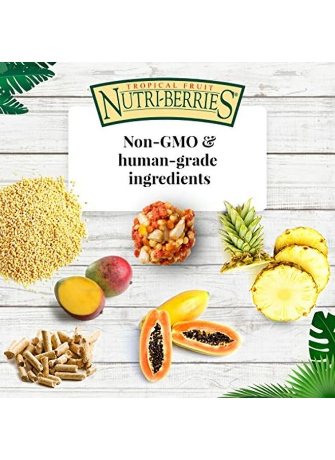 لافيبيرز طعام الطيور الأليفة LAFEBER'S Tropical Fruit Nutri-Berries، مصنوع من مكونات غير معدلة وراثيًا ومناسبة للبشر، للببغاوات، 3 رطل  - Image 5