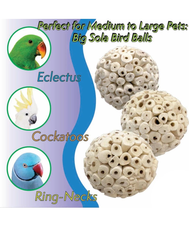 JOYNAGAR Natural Sola Wood Atta Ball Birds Foraging Toys for Cockatiels, Parrots, Budgies, Conures | 6 cm | Pack of 10 Pcs (Standard) - Image 4