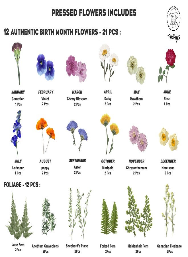 Twodays Birth Flower Mother’s Day Craft Kit for Mom/Grandma - 33 Real Pressed Flowers Art DIY Set, With 8x10 Double Glass Frame & Tools, Unique Handmade Birthday Christmas Gift from Daughter (Natural) - Image 4