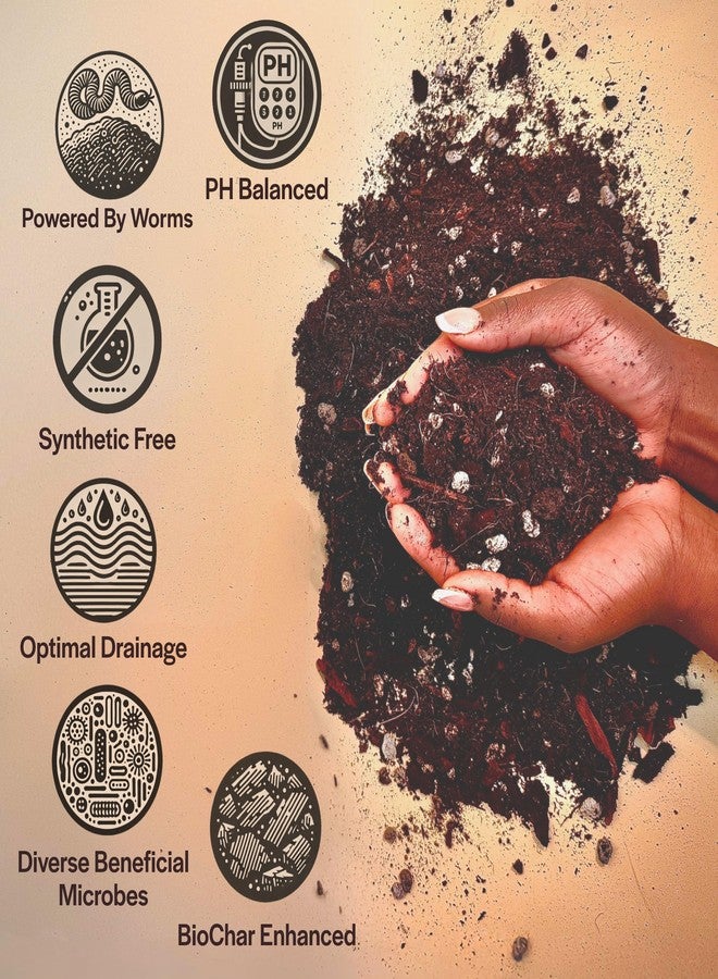 Grow Queen Craft Aroid Potting Mix- Elite Organic Alocasia, Philodendron, Monstera Soil Mix, Chunky, Well Draining Potting Soil for Indoor Plants, All Tropical Plants & Houseplants, Sustainable & Peat Free 1QT - Image 3