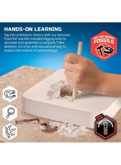 Discovery Discovery Mindblown 3D T-Rex Fossil Excavation Kit  - Image 3