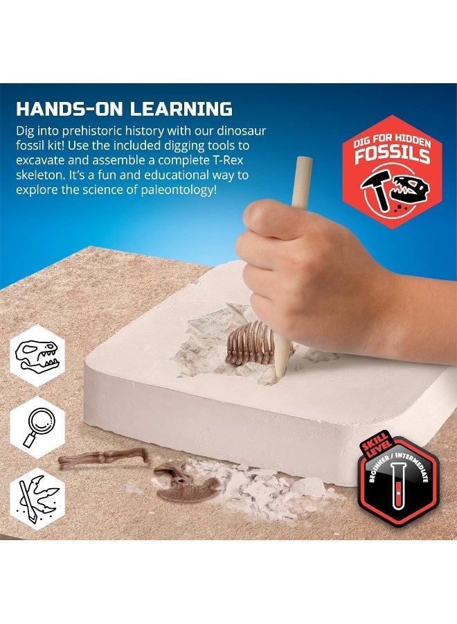 Discovery Mindblown 3D T-Rex Fossil Excavation Kit - Image 3