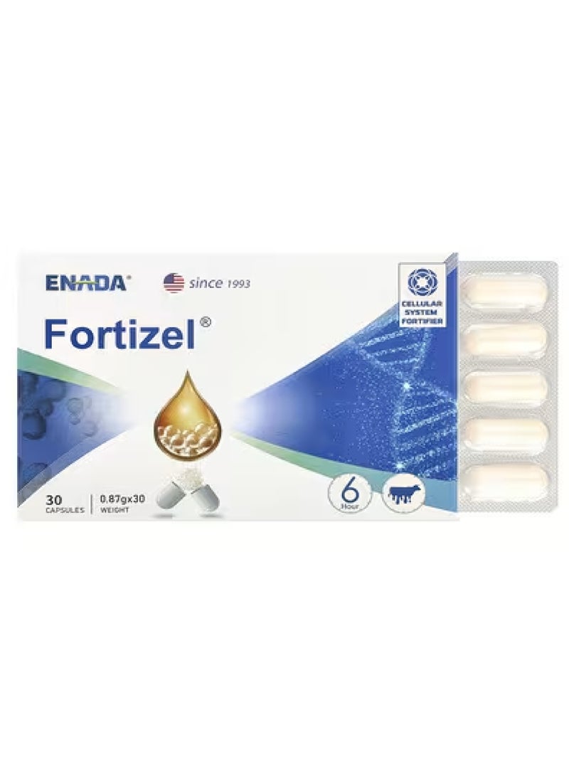 ENADA Fortizel®, Cellular System Fortifier, 620 mg, 30 Capsules