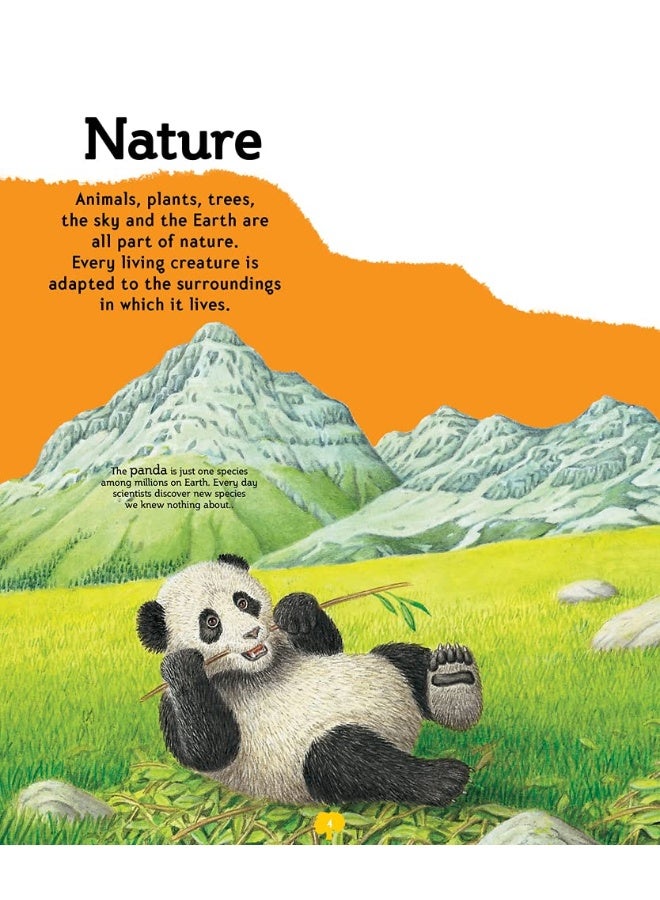 My First Encyclopedia of How? - Image 2