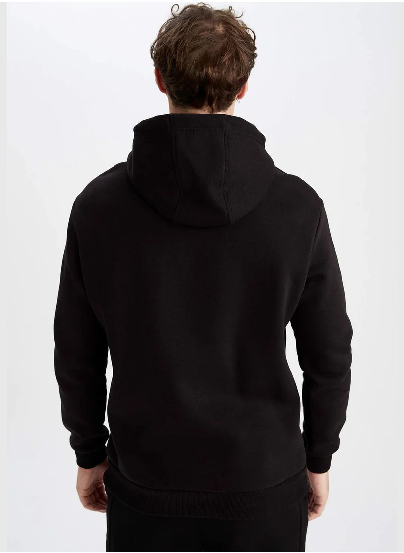 DeFacto Man Hooded Knitted Sweatshirt
