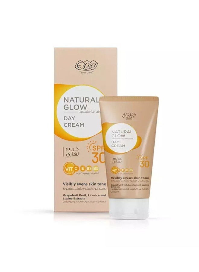 Eva Skin Care Natural Glow Facial Wash For Oily Skin 100 Ml + Natural Glow Day Cream With ( SPF 30 ) 50 Gm - Image 2