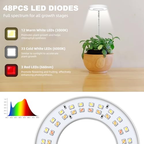 Kullsinss Grow Lights for Indoor Plants, Full Spectrum Halo Growing lamp with Detachable Base, Height Adjustable, 3 Colors, 10 Dimming, Automatic Timer, Plant Light for Small Plants Growing, 2-Pack - Image 5