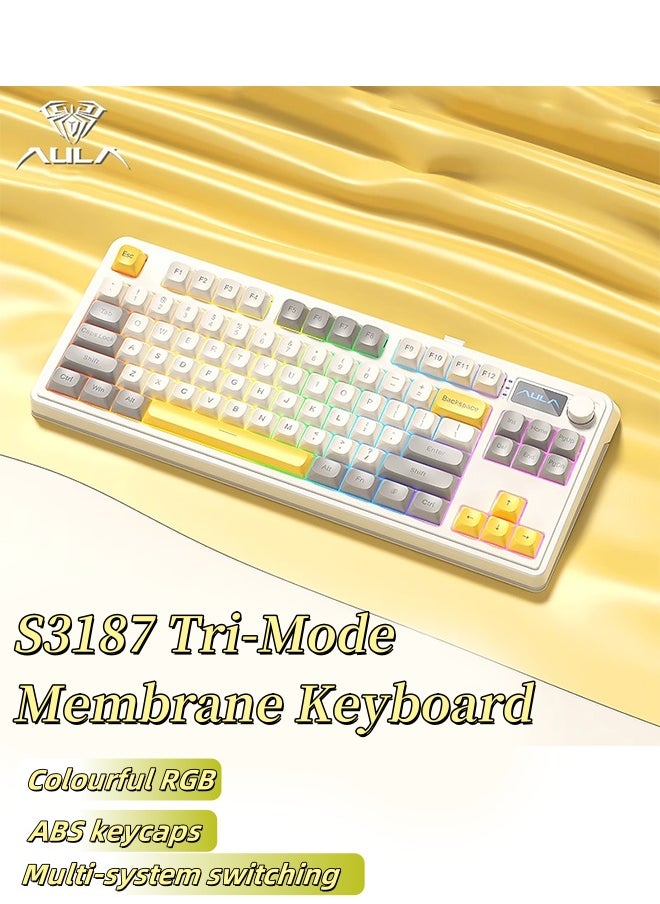 S3187 Wireless Mechanical Keyboard the third mock examination Bluetooth RGB Mute Design Multi device Switching Ultra Long Endurance Games Office Dual Use Lightweight Portable