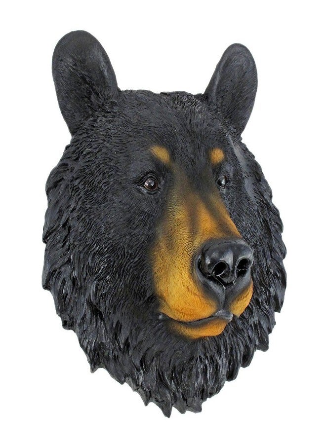 Things2Die4 Black Bear Face Mini Bust Wall Hanging - Image 4