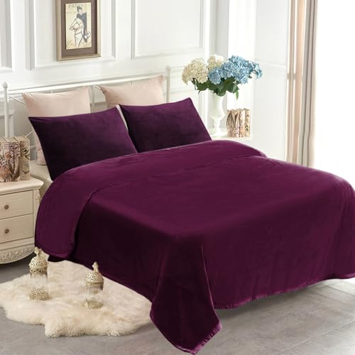 JYK Fleece Plush Bed Blanket Queen Size 79'' x 91'' - Premium Silky Flannel Fleece Blanket 3.5 LB, Lightweight and Fluffy Cozy Plush Comfy Microfiber Fleece Blankets for Couch Sofa Bedroom, Purple - Image 1