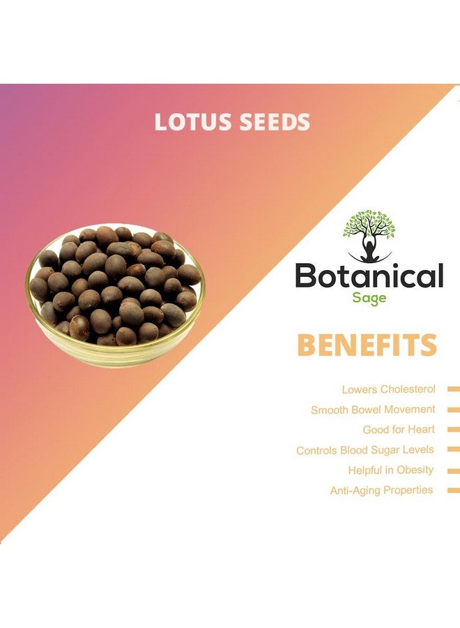 Botanical Sage Botanical Sage- Lotus Seeds 1kg | Kamal Gatta | Lotus Seeds  - Image 5