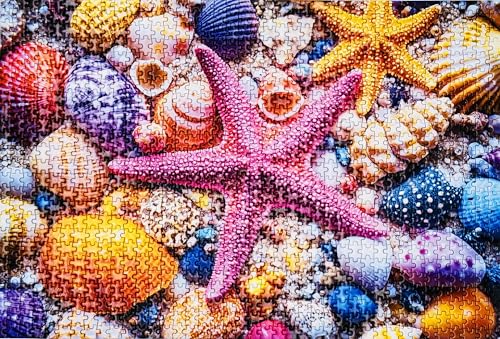 YOGEON Mini Puzzle for Adults 1000 Pieces Colorful Seashell and Starfish Puzzle 1000 Piece Beach Summer Mini Jigsaw Puzzle Finish Size 15x 10 - Image 5