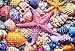 YOGEON Mini Puzzle for Adults 1000 Pieces Colorful Seashell and Starfish Puzzle 1000 Piece Beach Summer Mini Jigsaw Puzzle Finish Size 15x 10 - Image 4