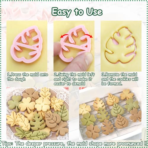 Lutoku 8pcs Mini Leaf Cookie Stamps, One-touch Molding 3d Raised Design Cookie Cutters, suitable for Tropic, Fall, Thanksgiving, Holiday & Party Treats Frosting Decoration (Leaf) - Image 3