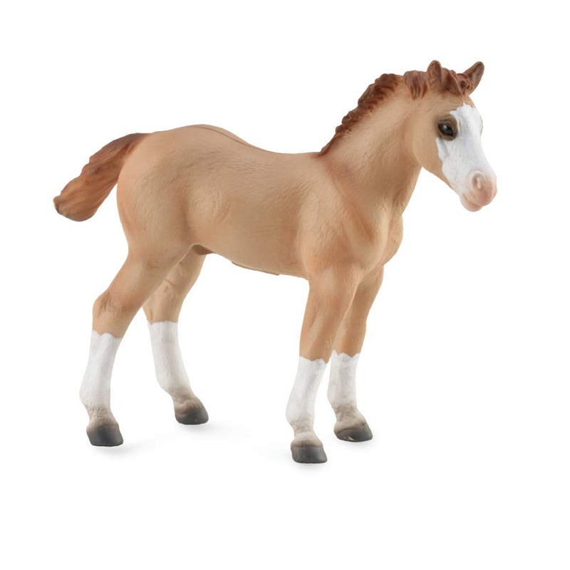 CollectA Breyer CollectA 1/18 Model Horse - Red Dun Quarter Foal - Image 3