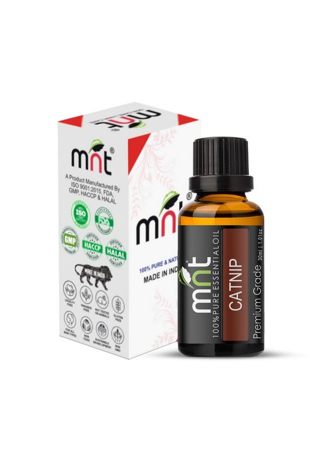 MNT Catnip Essential Oil (30ML) - Pure Natural Therapeutic Grade Oil For Skin Care & Hair Care - Image 2