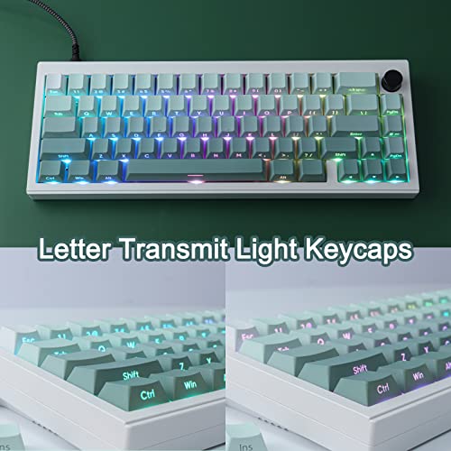 JOMKIZ PBT keycaps, 135 Keys Double Shot Keycaps Side Engraved Transparent Keycap Set Cherry Profile Backlit Keycaps for Cherry MX Switch ASIN/ISO Layout Mechanical Keyboard - Image 3