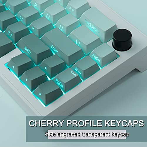 JOMKIZ PBT keycaps, 135 Keys Double Shot Keycaps Side Engraved Transparent Keycap Set Cherry Profile Backlit Keycaps for Cherry MX Switch ASIN/ISO Layout Mechanical Keyboard - Image 5