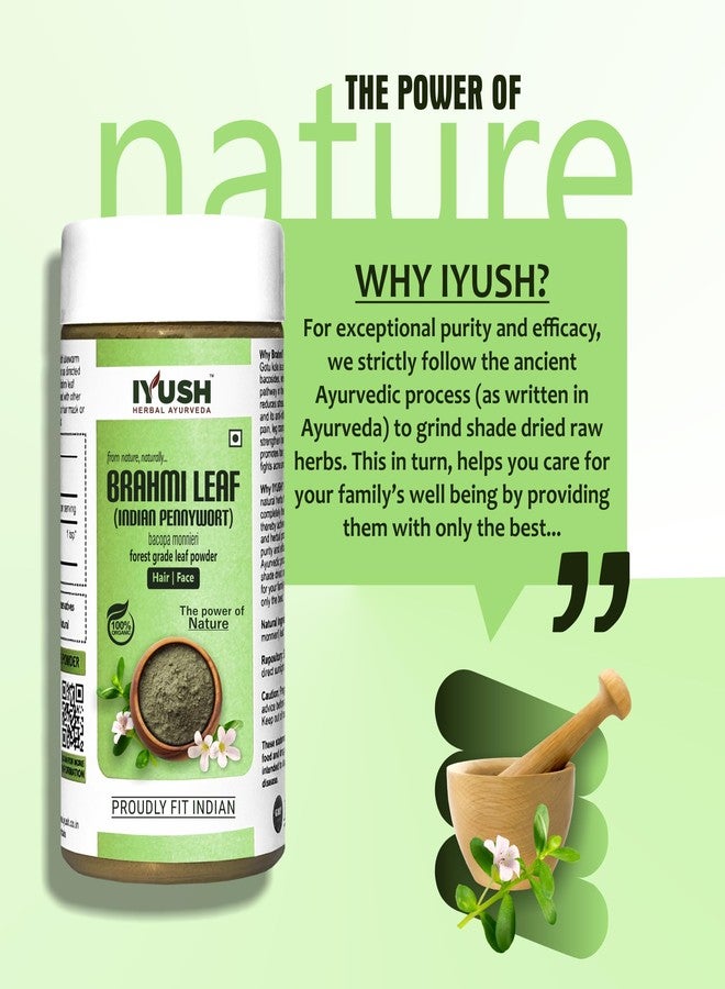IYUSH Herbal Ayurveda Brahmi Powder - 100gm | Bacopa Monnieri Powder | Brahmi Powder for Hair Growth | Bramhi Organic Powder | Hair Volume Powder | Hair Volumizing Powder | - Image 5