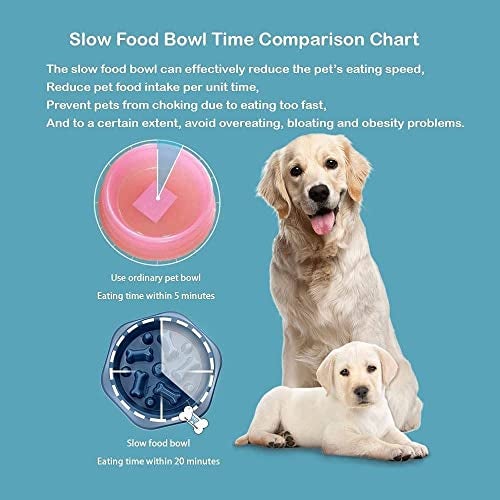 The DDS Store Anti Choke Small Dogs & Puppies Food Slow Feeding Bowl - Image 2