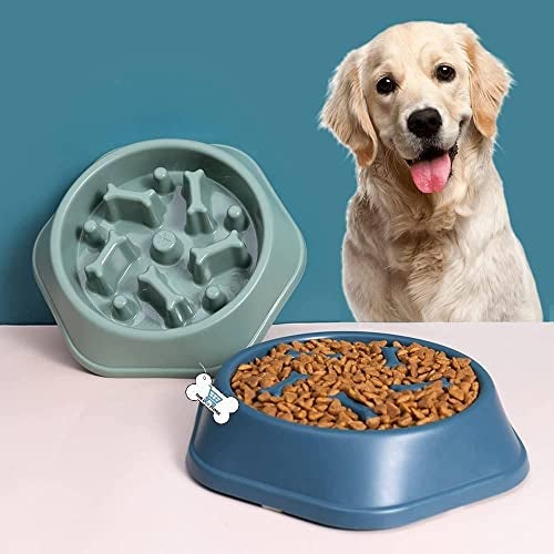 The DDS Store Anti Choke Small Dogs & Puppies Food Slow Feeding Bowl - Image 3