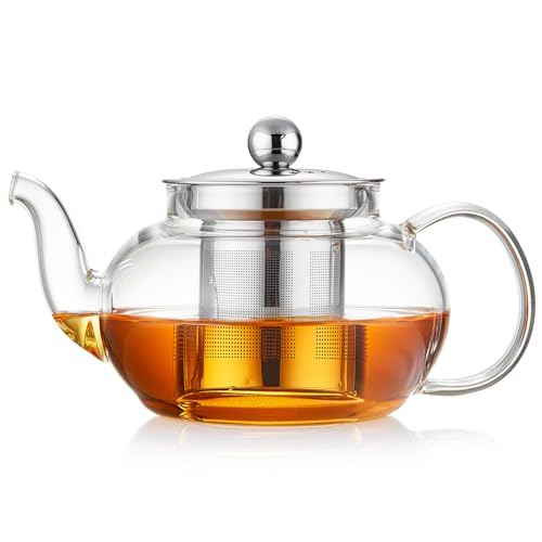 DOPUDO Glass Teapot with Removable Infuser, 20 oz/600ml Glass Tea Pot Small Borosilicate Tea Steeper Kettle with Loose Leaf Tea Strainer For Flower Blooming Tea, ClearTea Maker Pitcher - Image 1