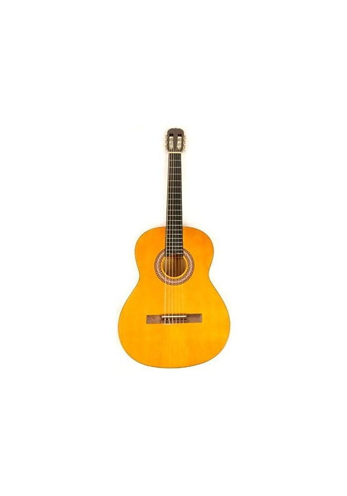 MegArya 39 Inch Classical Guitar - Full Size 6 String Nylon String Guitar in Yellow Natural Finish - Image 1