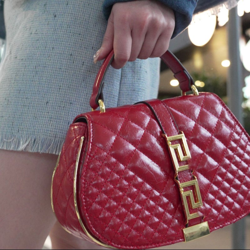 2025 Women'S Handbag, Crossbody Bag, Maze Chain Embroidery, Big Brand Saddle Bag, Chain Shoulder Bag - Image 3
