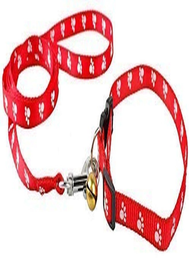 D&C PAWS Imported Paw Print Dog Puppy Nylon Leash Collar Set for Small Breed Dog Puppy & Cat Collar Leash Set Colorful Paw Printed Collar for Small Dogs (Color As Per Available) - Image 2