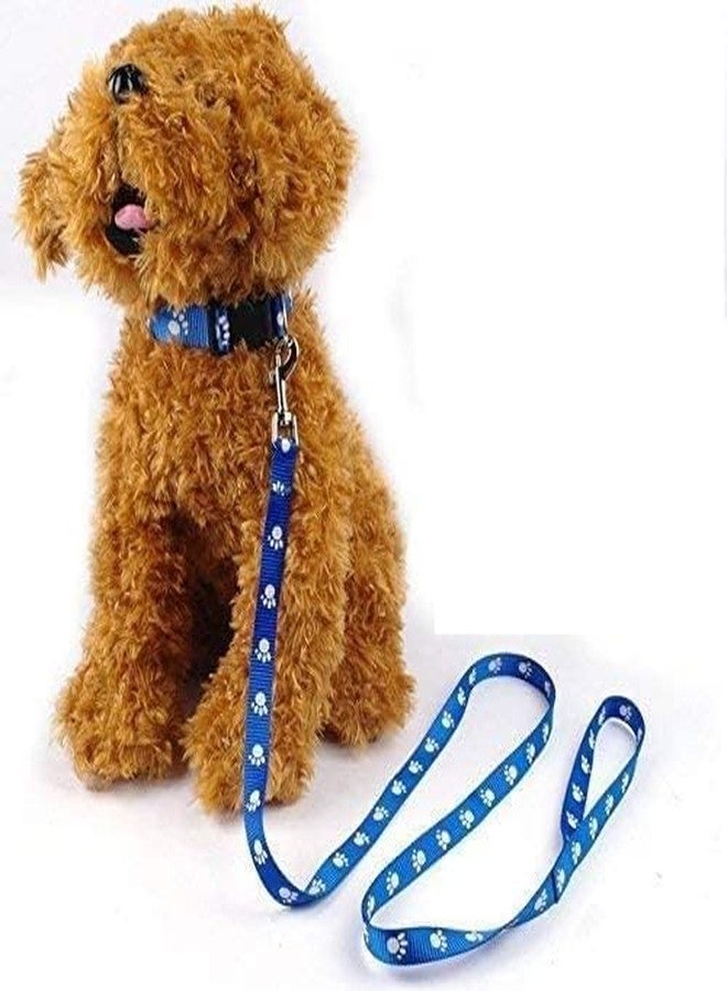 D&C PAWS Imported Paw Print Dog Puppy Nylon Leash Collar Set for Small Breed Dog Puppy & Cat Collar Leash Set Colorful Paw Printed Collar for Small Dogs (Color As Per Available) - Image 5