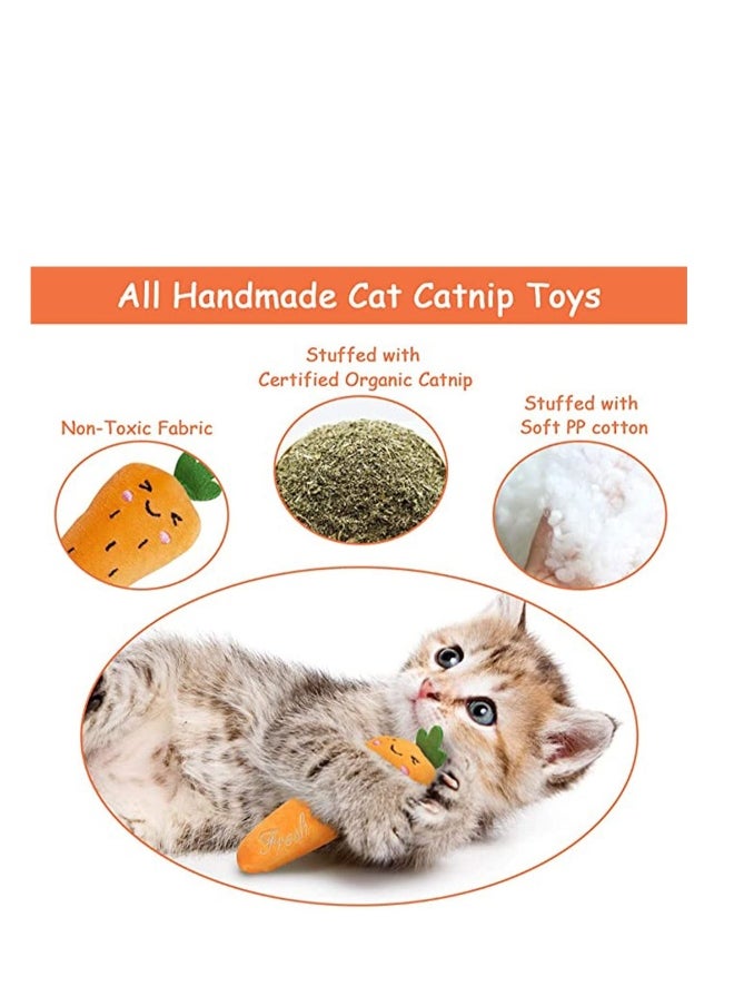 Generic - Cat Toys, Cat Chew Catnip Interactive Toy for Cat Lover Indoor Gift Cat Kitty Bite Toys Supplies Plush Gifts Fun Playing Toy - Image 1
