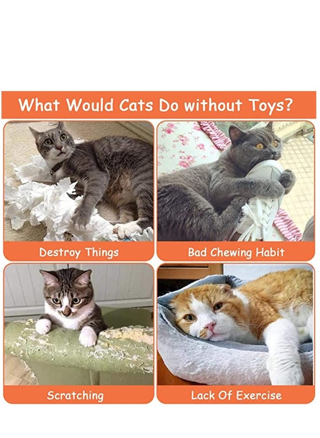 Generic - Cat Toys, Cat Chew Catnip Interactive Toy for Cat Lover Indoor Gift Cat Kitty Bite Toys Supplies Plush Gifts Fun Playing Toy - Image 1