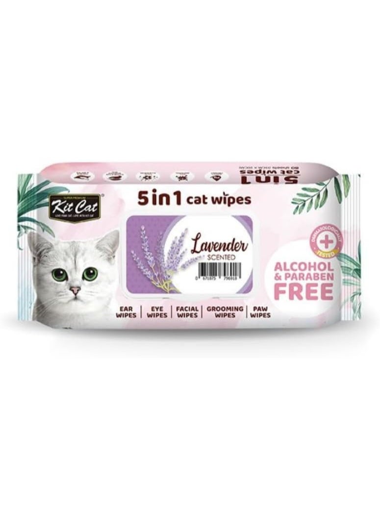 كيت كات مناديل قطط 5 في 1 برائحة اللافندر من كيت كات - خالية من الكحول والبارابين