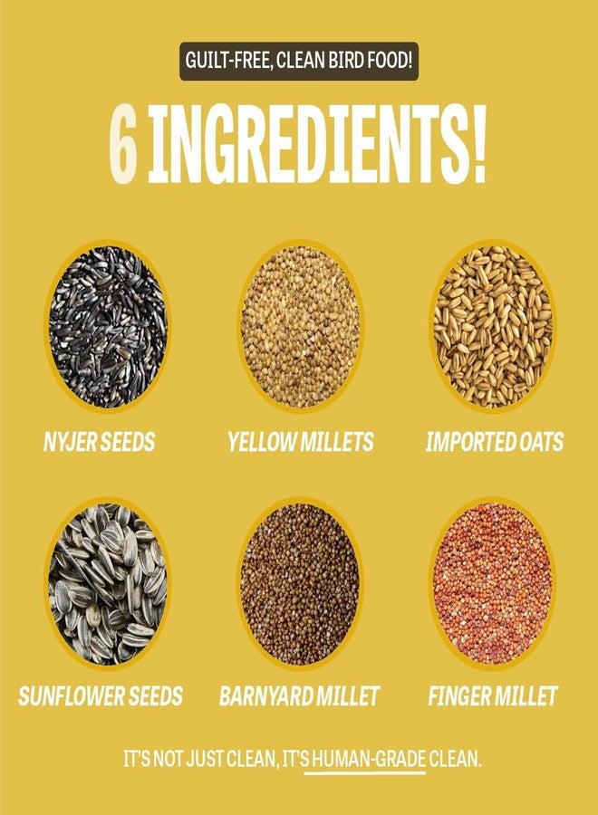 Petcrux Bird Food - Blend of 6 Grains & Mixed Seeds - Clean, Additive-Free Bird Feed with Nyjer, Millet, Oats, Sunflower - 100% Natural & Healthy Mix for All Birds (1000 g) - Image 3