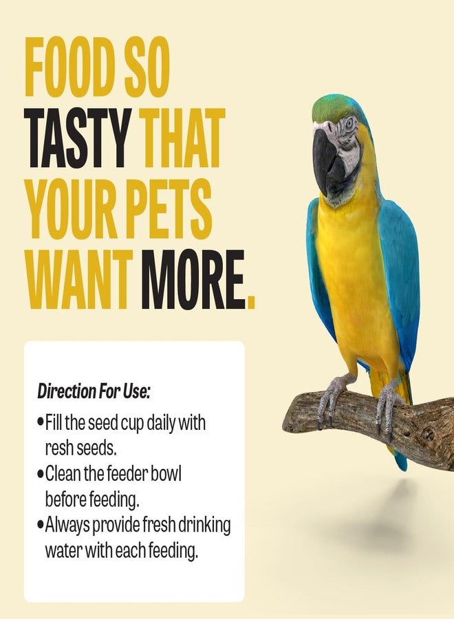 Petcrux Bird Food - Blend of 6 Grains & Mixed Seeds - Clean, Additive-Free Bird Feed with Nyjer, Millet, Oats, Sunflower - 100% Natural & Healthy Mix for All Birds (1000 g) - Image 5