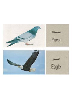 Educational Cards The Birds - pzsku/Z9C55A04B447AA6DB36ACZ/45/_/1671131177/3bdc3228-63f4-4144-8041-03bf31fd7933