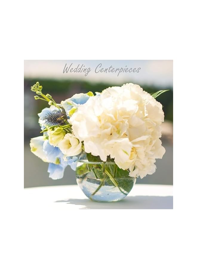 The Bros Round Glass Vase Clear Glass Fish Bowl Vase – Round Bubble Bowl for Flowers, Centerpieces, Terrariums & Home Decor Weddings, Events, Office & Table Displays - Image 3