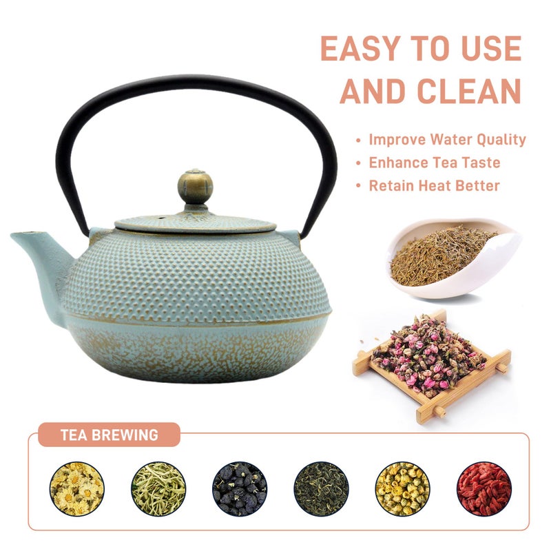 SECHUDO 30.4oz Small Cast Iron Teapot, Tea Kettle for Stovetop Safe, Tea Pot with Stainless Steel Infuser for Loose Tea, Japanese Tetsubin Coated with Enameled Interior(900ml) - Image 4