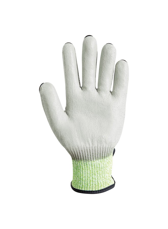 DPT Safety Gloves, Green  - Image 2